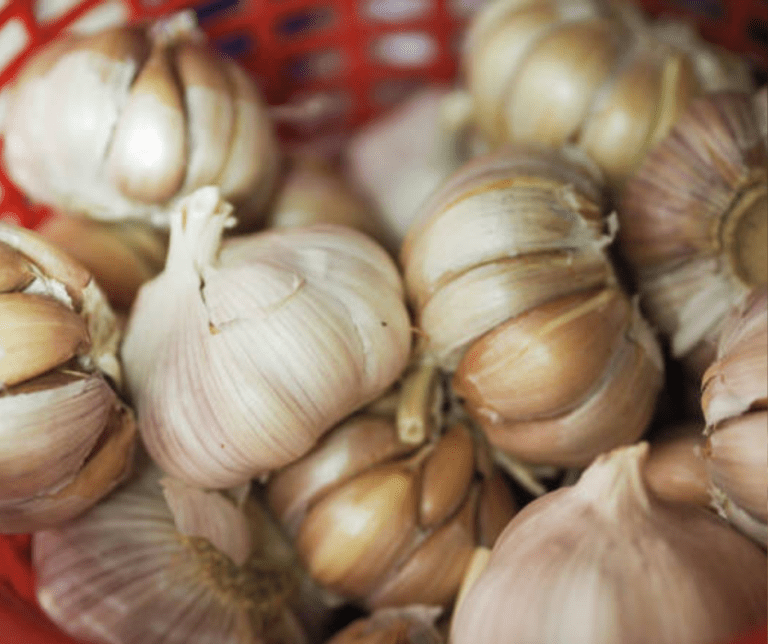 6 Different Methods for Storing Garlic