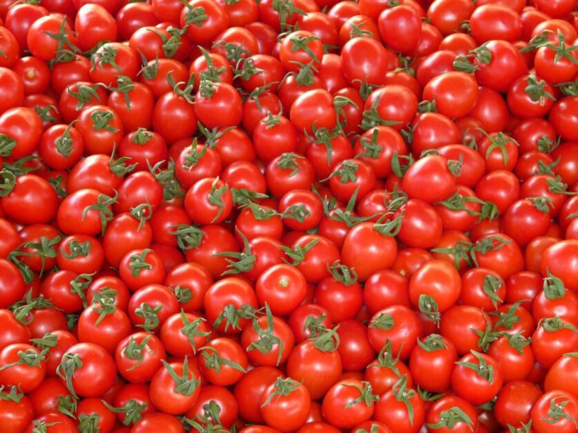 Texture and Consistency: Understand how the texture and consistency of tomatoes vary, such as juicy and fleshy or firm and crisp.