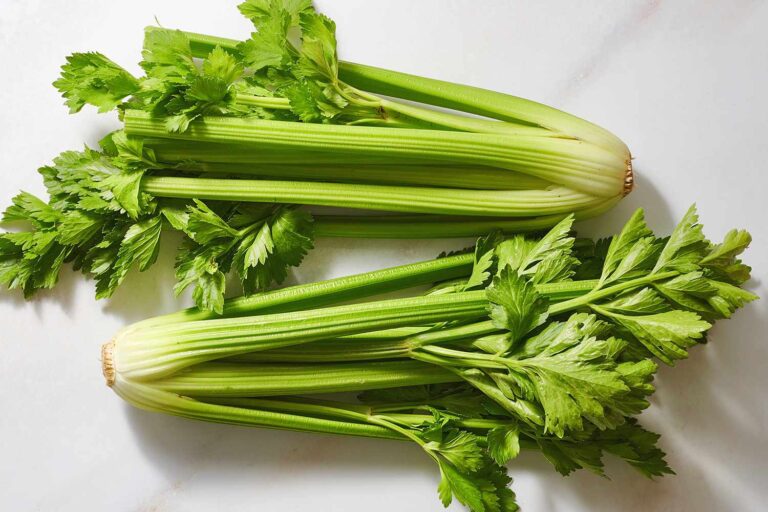 Celery Planting, Growing, and Caring