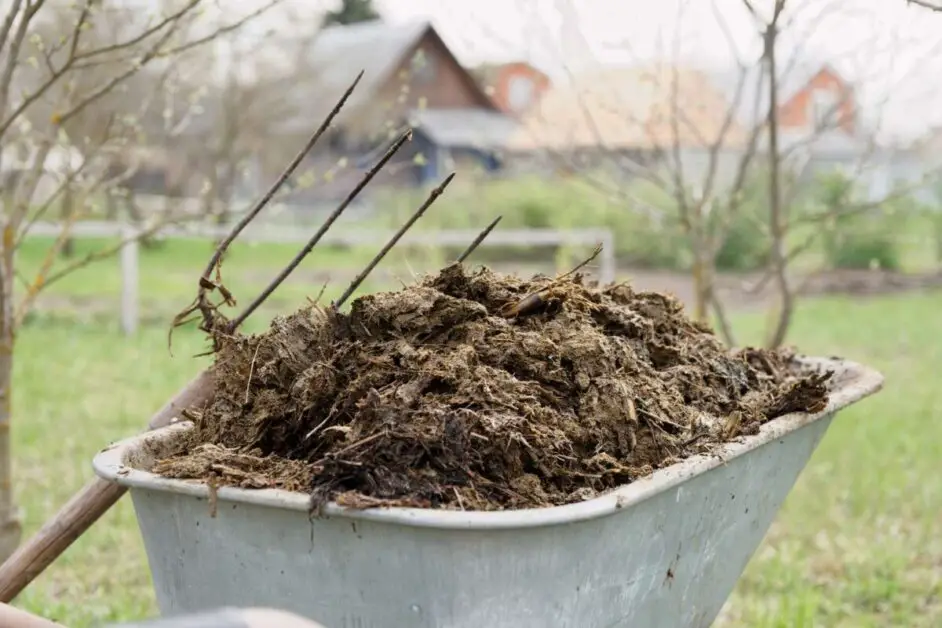 Understanding the Potential of Cow Manure as a Resource