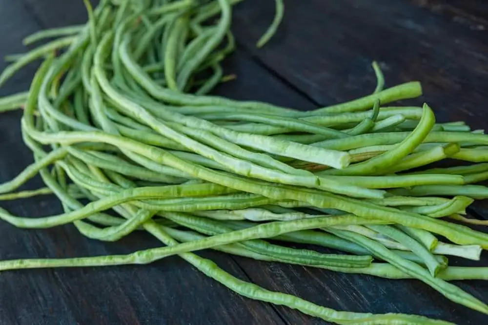 Benefits of Growing Yardlong Beans