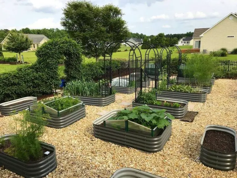 Birdies Garden Products: Enhancing Your Green Space