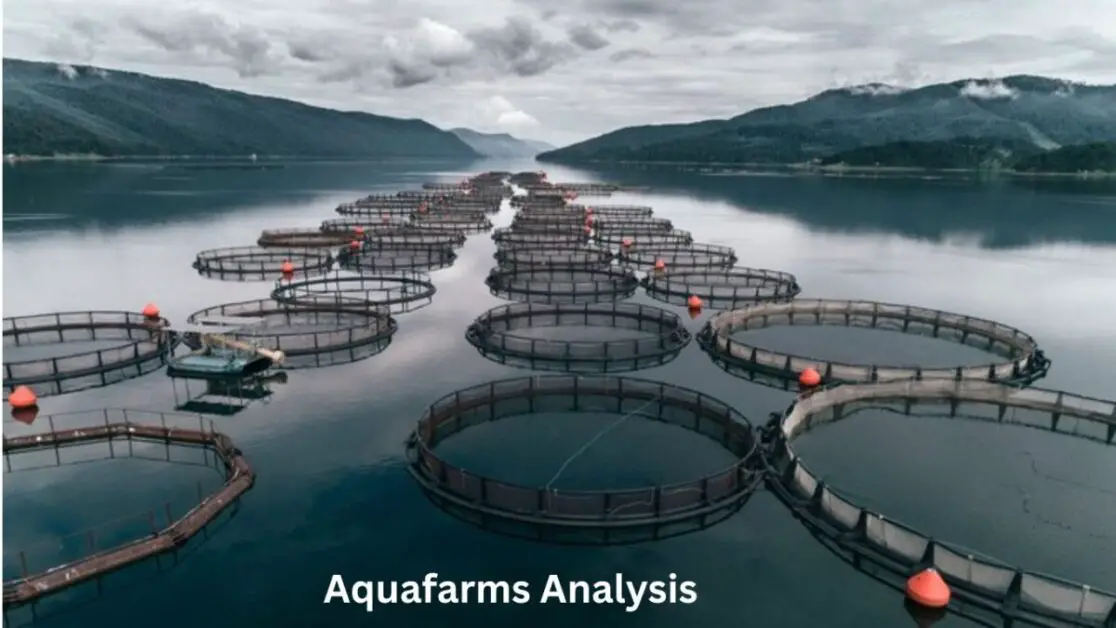 Aquafarms Analysis