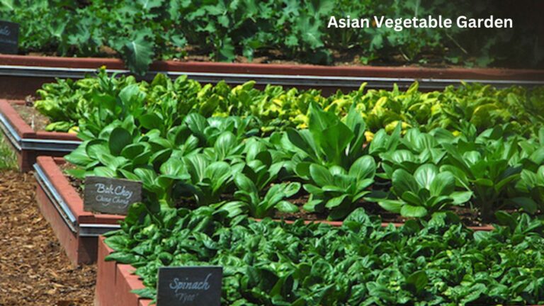 Empower Your Best Garden with Asian Vegetable Abundance: 33 Must-Grow Varieties