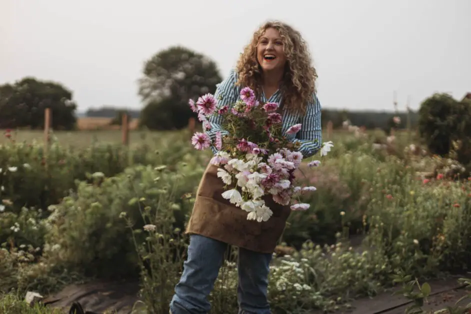 Harvesting Cosmos Flower Seeds for Future Planting