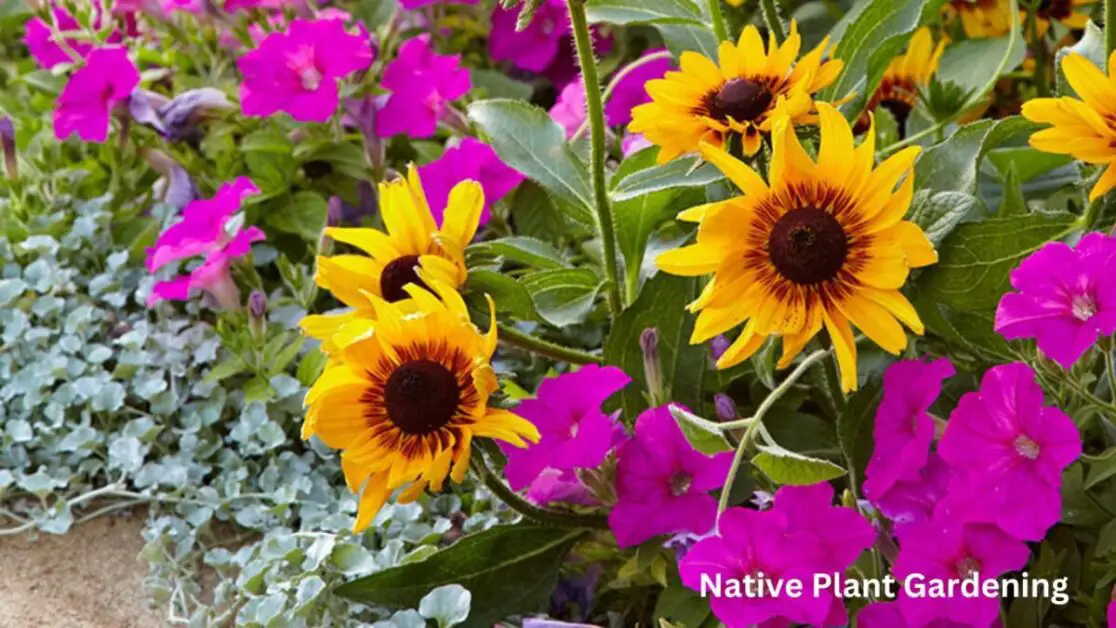 Native Plant Gardening