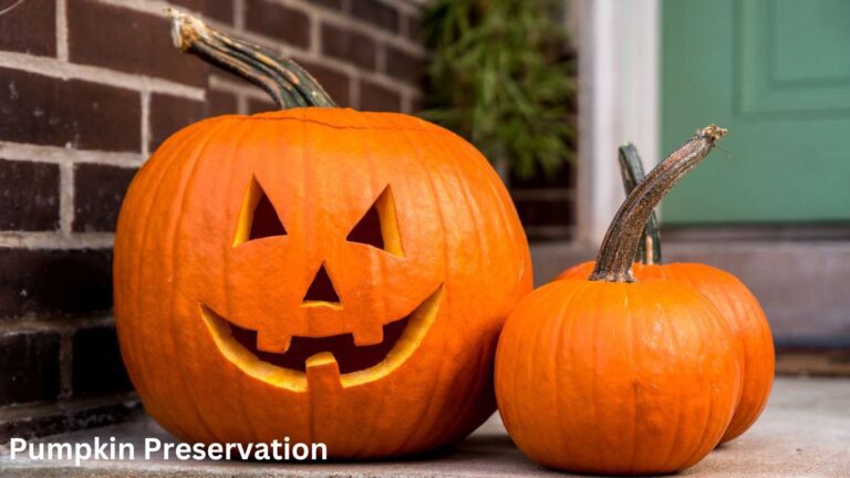 Pumpkin Preservation: Harvest and Store Perfect