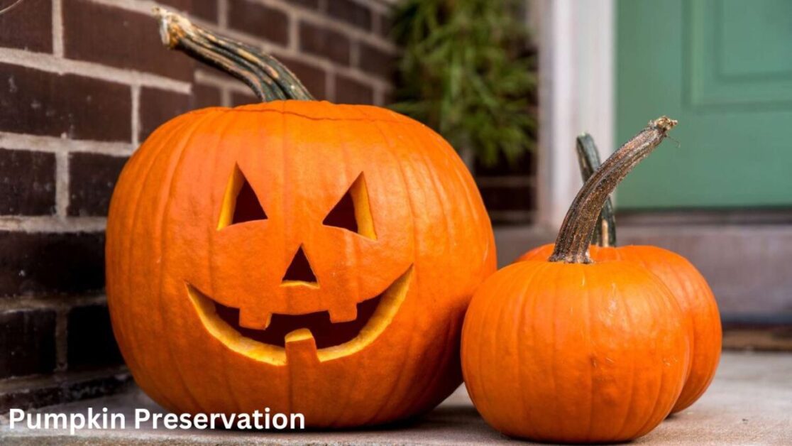 Pumpkin Preservation