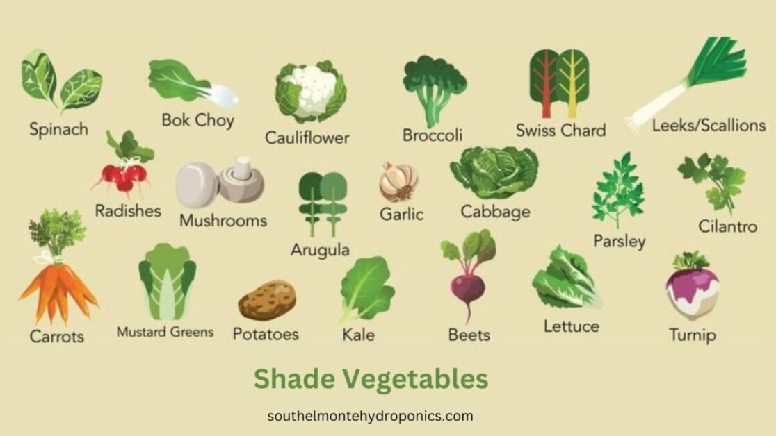 Shade Vegetables
