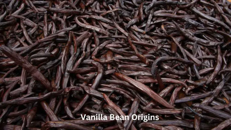 Vanilla Bean Origins: Exploring The best Vanilla Cultivation Method