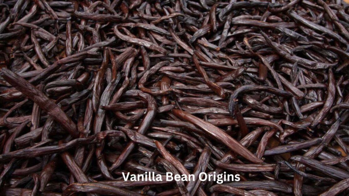 Vanilla Bean Origins