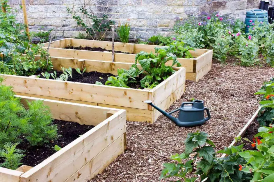 Raised Bed Benefits: 15 Reasons to Garden Upwards