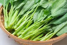 Harvesting Gai Lan at the Right Time for Maximum Flavor