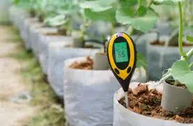 Monitoring pH Levels for Healthy Hydroponic Seed Starting