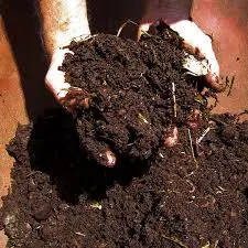 Overview of Composting