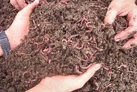 Worm Tower Project: DIY Composting Solution
