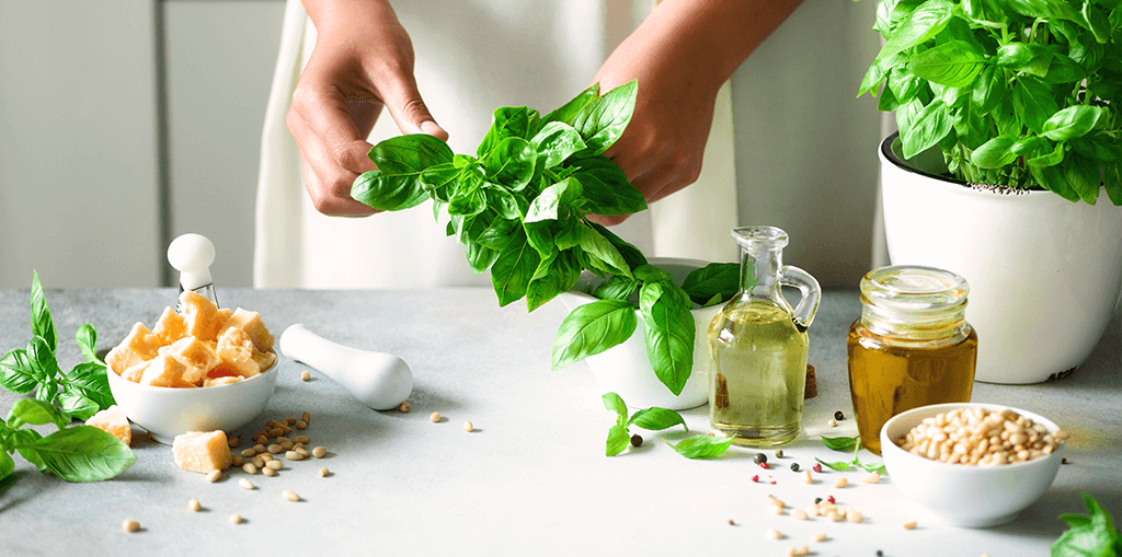 Using Fresh Basil in Cooking and Recipes