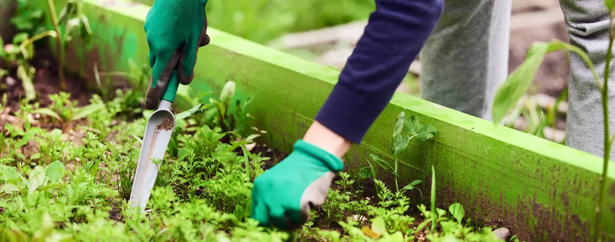 Weed Control