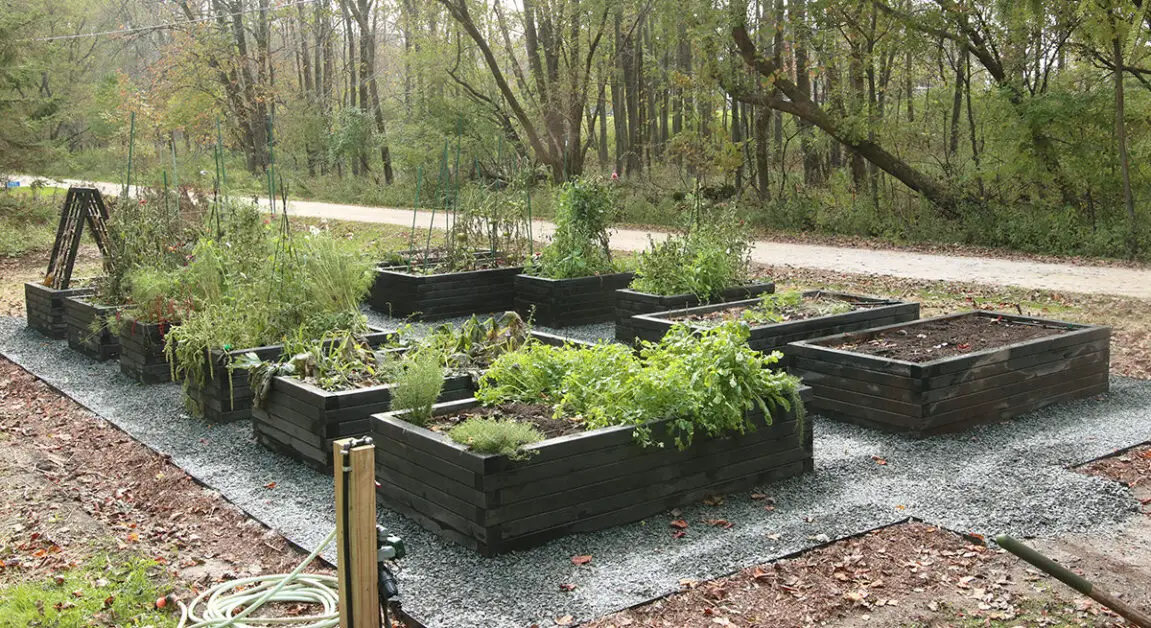 Benefits of Using Concrete for Raised Beds