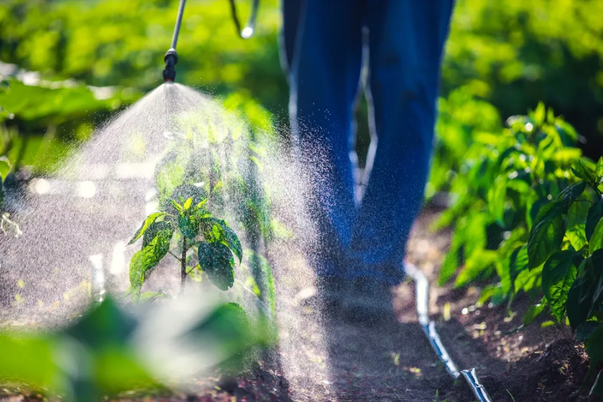 Chemical Pesticides for Garden Pests Control
