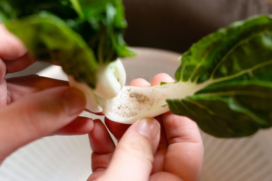 How to Properly Clean and Prepare Bok Choy for Cooking