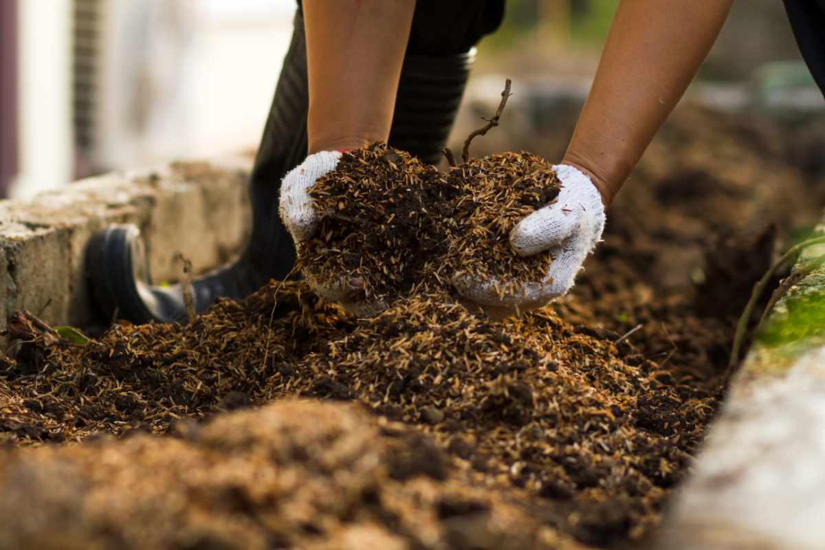 Testing and Amending Your Soil for Fall Planting