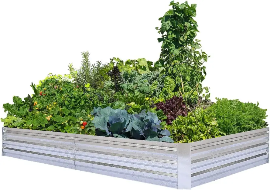 Outdoor Hydroponic Plants