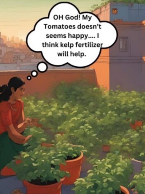 Give Your Plants a Boost: The Kelp Solution!