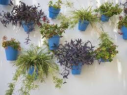 Wall Planters: Ingenious & Cost-Free Designs for Extra Planting Room