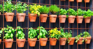 nspiring Examples of Vertical Gardens with Wall Planters