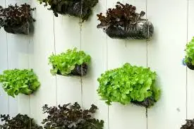 Vertical Succulent Garden Ideas Using Wall Planters