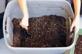 Preparing the Soil Mix