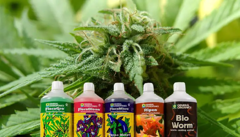 General Hydroponics for Cannabis and Weed Guide