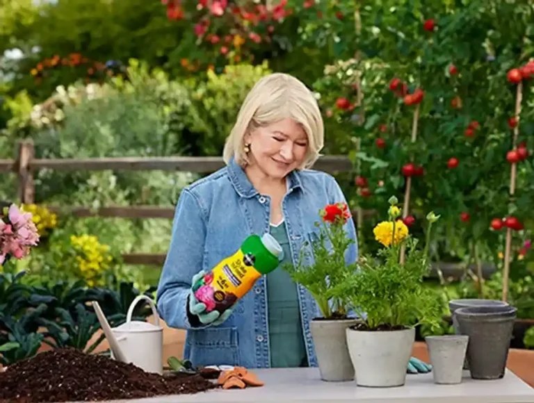 Is Miracle-Gro Toxic? Safety Facts for Gardeners