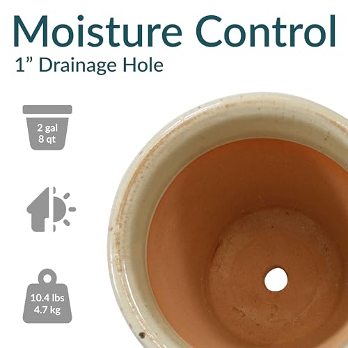 Sunnydaze Round Ceramic Planter - Set of 2 Indoor or Outdoor Plant Pots with Drainage Hole - 11