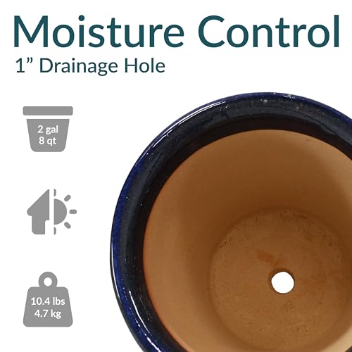 Sunnydaze Round Ceramic Planter - Set of 2 Indoor or Outdoor Plant Pots with Drainage Hole - 11