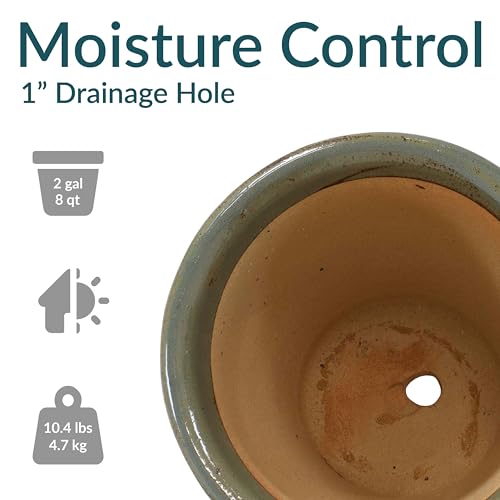 Sunnydaze Round Ceramic Planter - Set of 2 Indoor or Outdoor Plant Pots with Drainage Hole - 11