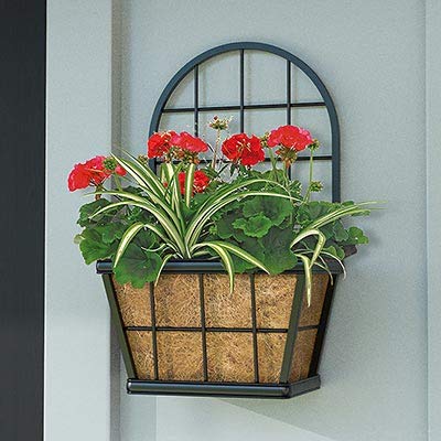 Panacea 81437 Modern Farmhouse Wall Planter with Trellis, 11.5