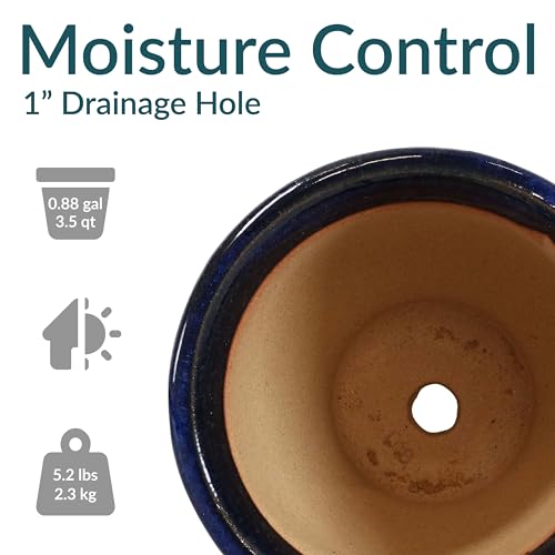 Sunnydaze Round Ceramic Planter - Set of 2 Indoor or Outdoor Plant Pots with Drainage Hole - 9