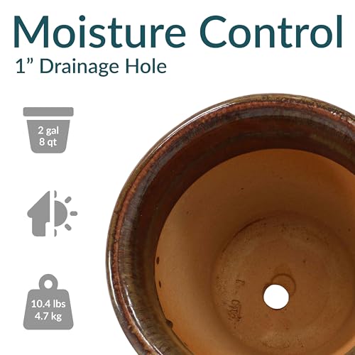 Sunnydaze Round Ceramic Planter - Set of 2 Indoor or Outdoor Plant Pots with Drainage Hole - 11