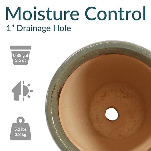 Sunnydaze Round Ceramic Planter - Set of 2 Indoor or Outdoor Plant Pots with Drainage Hole - 9