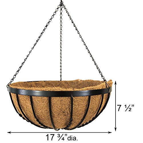 Panacea 88536 Cotswold Series Hanging Baskets, Black, 17.75
