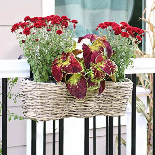Sunnydaze Indoor/Outdoor Round Polyrattan Over-The-Rail Tri-Planter with 3 Black Liners - Frost