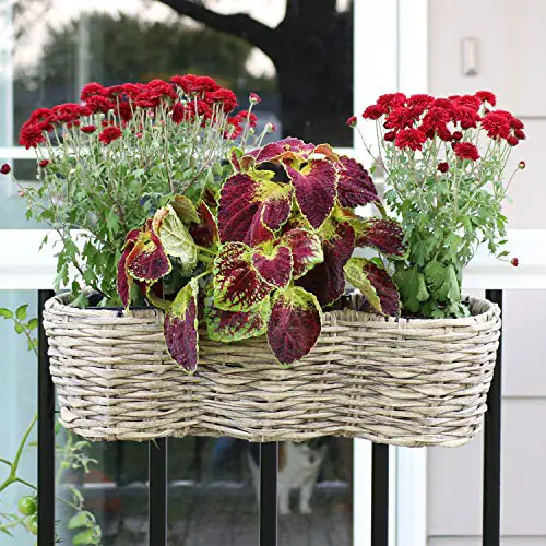 Sunnydaze Indoor/Outdoor Round Polyrattan Over-The-Rail Tri-Planter with 3 Black Liners - Frost