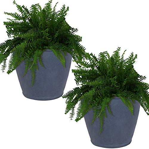 Sunnydaze Anjelica Planter Review: Worth it After 1 Season?