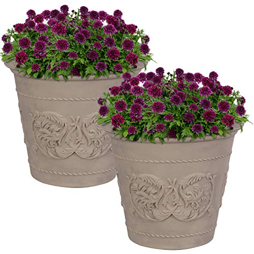 Sunnydaze Arabella Planter Review: Worth It After 6 Months?