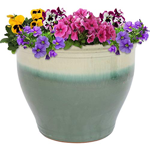 Sunnydaze Planter Pot Review: Worth It After 6 Months?