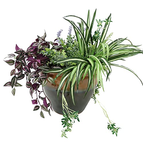 Sunnydaze Plant Pot Review: Worth it After 6 Months?