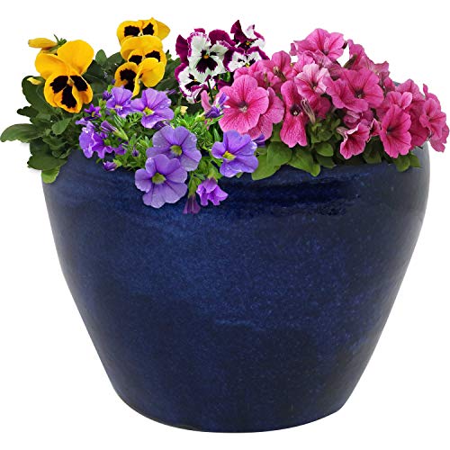 Sunnydaze Planter Pot Review: Game-Changing for Plant Lovers