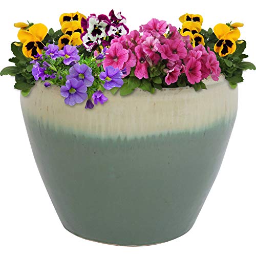 Sunnydaze Plant Pot Review: Worth it After 6 Months?